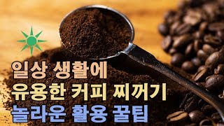 일상 생활에 유용한 커피 찌꺼기 놀라운 활용 꿀팁