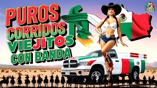 2024's Hottest Corridos con Banda Revealed by a Music Expert!🎸PUROS CORRIDOS VIEJITOS CON BANDA