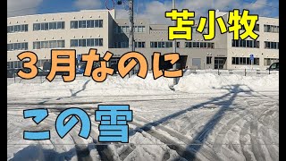 ３月こんなに雪が残っている【苫小牧】見たことない。2022