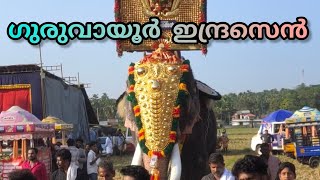 ഗുരുവായൂർ ഇന്ദ്രസൻ | Guruvayoor indresan | അന്നംകുളങ്ങര പൂരം | Annamkulangara pooram