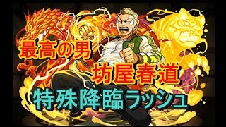 【パズドラ】強くなった坊屋春道で特殊降臨ラッシュ竜魔界 壊滅級ノーコン