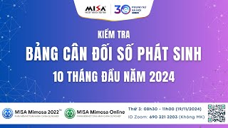 Sáng 19/11 - Kiểm tra Bảng cân đối số phát sinh 10 tháng đầu năm 2024