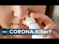 CORONA-MEDIKAMENT: Israel - Nasenspray könnte Coronaviren abtöten