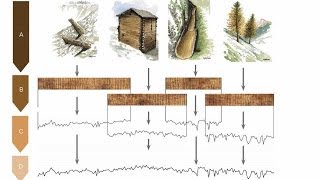 How we know the earth is MORE than 6 thousand years old - Part 1- Tree Rings