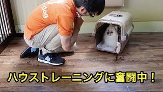 ハウストレーニングに奮闘中！