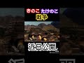 きのこの山 vs たけのこの里 戦いは続く きのこの山 たけのこの里 戦争