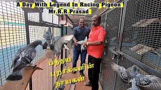 பந்தய  புறாக்களின் நாயகன்| A Day with indian Racing Pigeon Legend Mr.R.R.Prasad |Part1