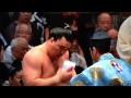 平成26年9月場所 初日 遠藤関の取組 対日馬富士