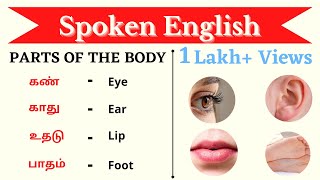 Parts of the body || English Basics || Ultramind