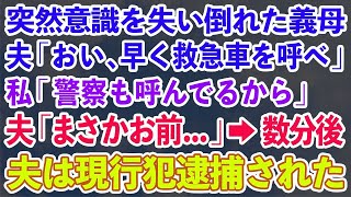 【スカッとする話】突然意識を失い倒れた義母。夫「おい、早く救急車を呼べ」 私「警察も呼んでるから」 夫「まさかお前知っていたのか   」→数分後 夫は現行犯逮捕された