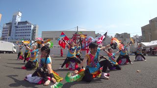 紅翔連 ヤートセ秋田祭り2019