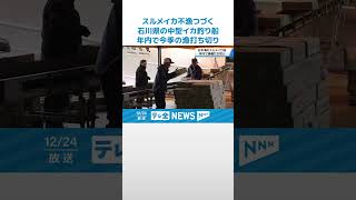 【スルメイカ不漁つづく】石川県の中型イカ釣り船　年内で今季の漁打ち切り #shorts