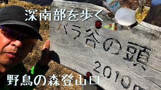 道楽登山日記　南アルプス深南部　「バラ谷の頭」　野鳥の森　登山編