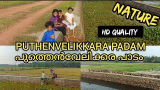 puthenvelikkara padam 2022 | gods on country | പുത്തെൻവേലിക്കര പാടം |Thazhamchira | താഴംചിറ