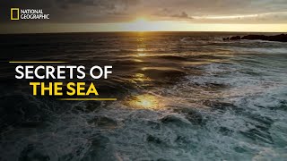 Secrets of the Sea | Hostile Planet | Full Episode S01-E02 | हिन्दी | National Geographic