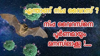 nipah virus in kerala | symptoms | precautions in Malayalam |നിപ്പ വൈറസിനെ കുറിച്ച് അറിയേണ്ടതെല്ലാം