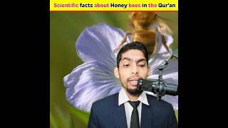 Scientific facts about honey bee 🐝 in the Qur'an #shorts