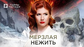 Мерзлая нежить — Тайны Чапман (25.04.2022)