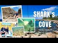 SHARKS COVE: One of the Best Snorkeling and Diving Spots in Oahu, Hawaii