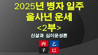 2025년 병자 일주 을사년 운세 2부