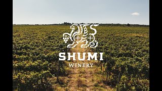 SHUMI Winery: Brand - the Visiting Card of the Country