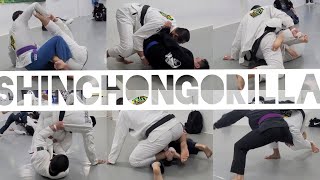 20210418 ShinChonGorilla Sparring 하이라이트