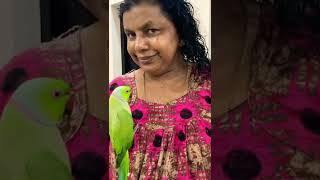 മലയാളം സംസാരിക്കുന്ന തത്ത. McPhee 🦜 ❤️