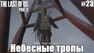 The Last of Us Part II (#23) - Небесные тропы.