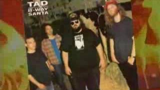 Official TAD "Busted Circuits And Ringing Ears" Trailer