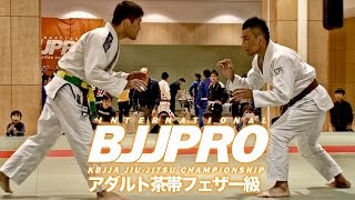 【KBJJA BJJ PRO JAPAN】アダルト茶帯フェザー級