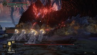 骨灰代打 靈廟士兵 VS 「死龍」弗爾桑克斯 PS4 艾爾登法環 ELDEN RING 二周目 外鄉人打法