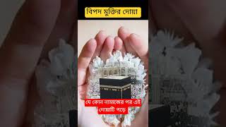 ঘরের ভিতরে বিপদে পড়লে এই দোয়াটি পড়ুন। 🤲 #islamicstatus #ইসলামিকঘটনা #shortsvideo #dua #shorts