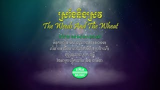 ស្រងែនិងស្រូវ | The Weeds and The Wheat