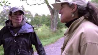 Values Led Sourcing: Our Values | Ben & Jerry's