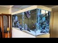 Top 5 Beautiful African Cichlids Tank Setup | Luxury Cichlid Aquariums