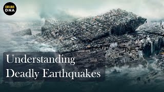 Earthquake Explained | Curious DNA