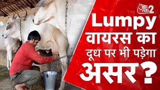 लंपी वायरस का दूध पर भी पड़ेगा असर ? | Lumpy Virus Disease । Aajtak LIVE | AT2 LIVE