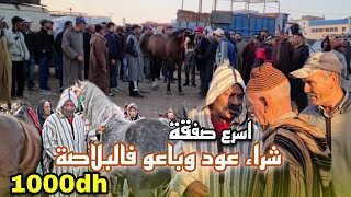 سوق سطات اليوم بادريس رباح 1000dh فالبلاصة دار اسرع صفقة شراء  عود وباعو تم تم  😯