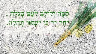 סוכה ולולב - פרחי ירושלים - 0542290222