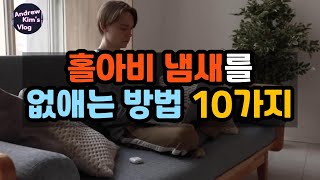 홀아비 냄새를 없애는 방법 10가지