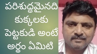 పరిశుద్ధమైనది కుక్కలకు పెట్టకుడి అంటే అర్థమేమిటి? మీ ముత్యములు పందుల ఎదుట వేయకూడదు code38 mat7.68