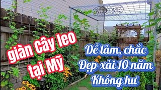 🇺🇸Atlanta 🌿Cách làm giàn mướp- bầu bí đơn giản nhất ai cũng làm được -EASY DIY GARDEN  TRELLIS☀️