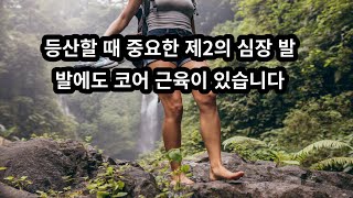 등산할 때 중요한 발 | 발에도 코어 근육이 있습니다 | 이번 영상에서는 발 코어 근육에 대해서 알려드립니다