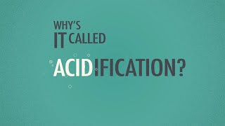 What is Ocean Acidification?