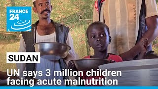 UN says 3 million Sudan children facing acute malnutrition • FRANCE 24 English