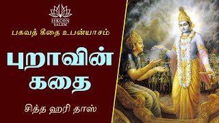 புறாவின் கதை / BG 9.33 / சித்த ஹரி தாஸ்