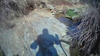Glenroy Preserve, April 1, 2026