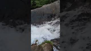 Kattikkayam Waterfalls | illikkal kallu #shorts #illikkalkallu #waterfall #idukki #kattikkayam