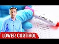 How to Lower Cortisol How to Lower Cortisol