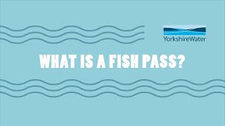 What is a fish pass?